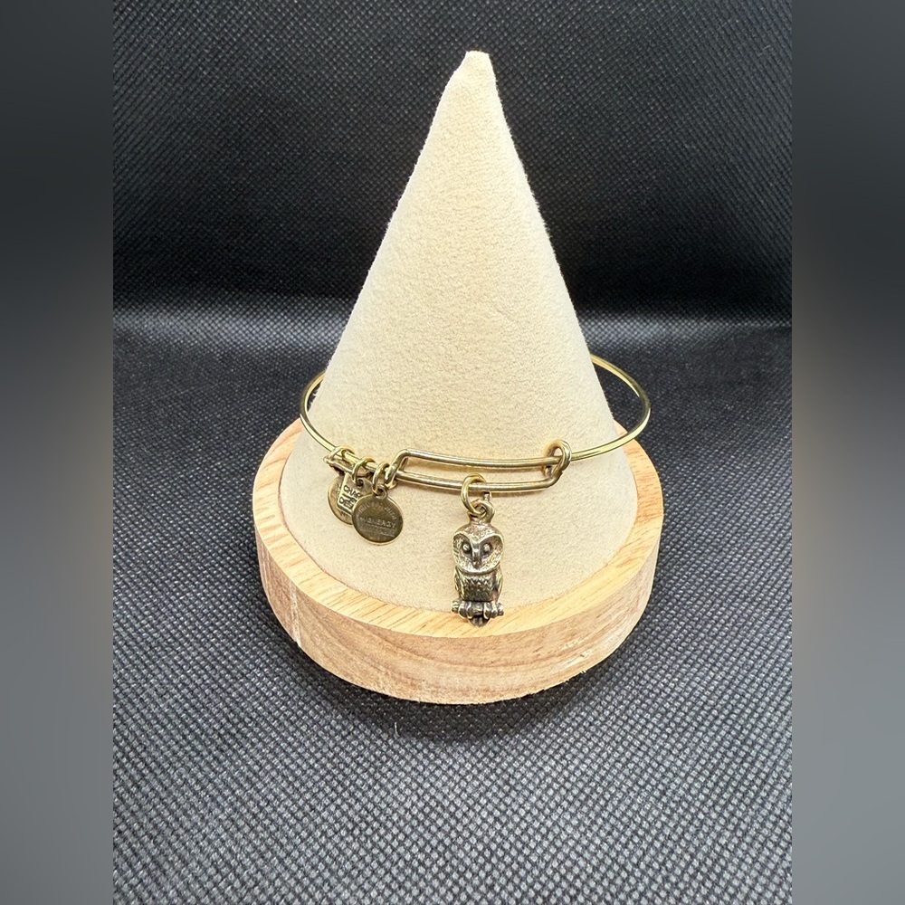 🦉ALEX AND ANI🦉Owl Charm Bangle in Shiny Gold/EUC